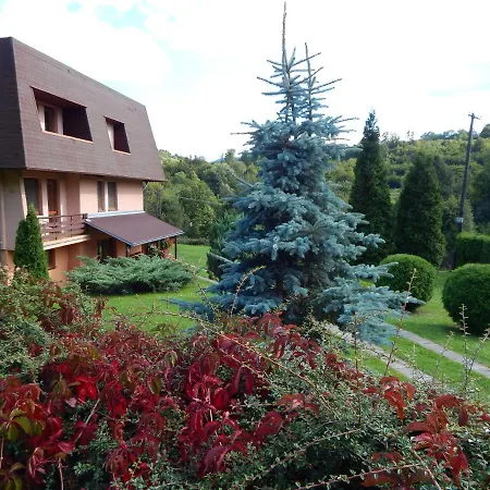 Vážka Banská Štiavnica