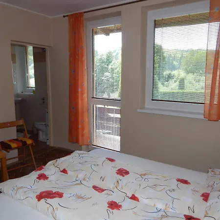 Guest house Vazka *